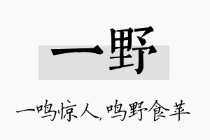 一野名字的寓意及含义