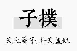 子扑名字的寓意及含义