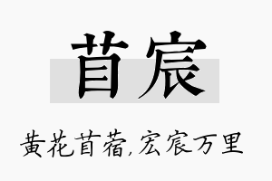 苜宸名字的寓意及含义