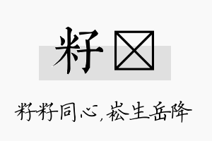 籽崧名字的寓意及含义