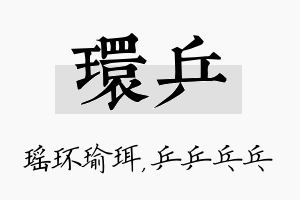 环乒名字的寓意及含义