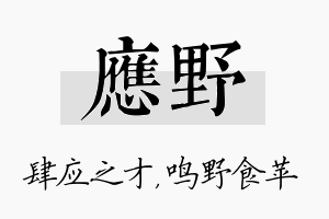 应野名字的寓意及含义