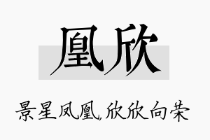 凰欣名字的寓意及含义