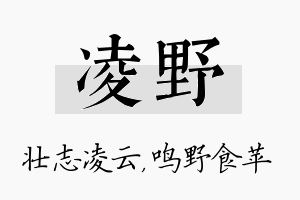 凌野名字的寓意及含义