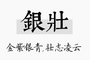 银壮名字的寓意及含义