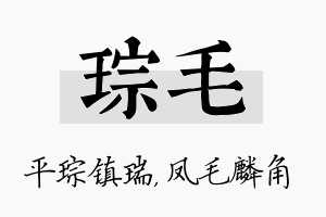 琮毛名字的寓意及含义