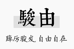 骏由名字的寓意及含义