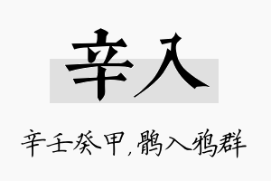 辛入名字的寓意及含义