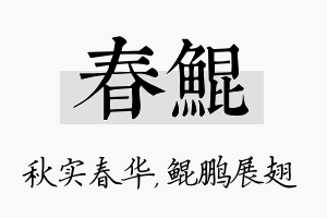 春鲲名字的寓意及含义