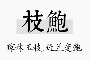 枝鲍名字的寓意及含义