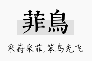 菲鸟名字的寓意及含义