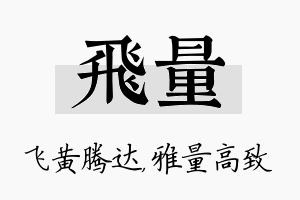 飞量名字的寓意及含义