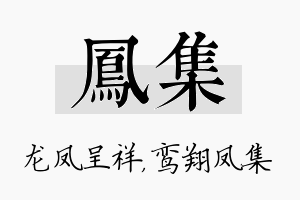 凤集名字的寓意及含义