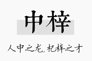 中梓名字的寓意及含义