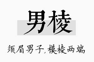 男棱名字的寓意及含义