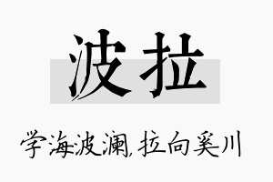 波拉名字的寓意及含义