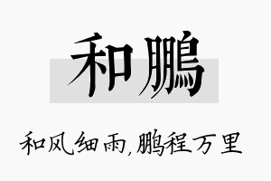 和鹏名字的寓意及含义