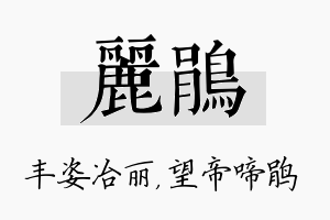 丽鹃名字的寓意及含义