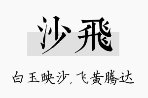 沙飞名字的寓意及含义