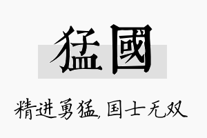 猛国名字的寓意及含义