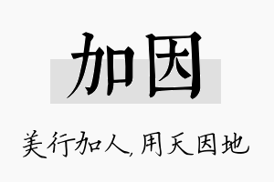 加因名字的寓意及含义