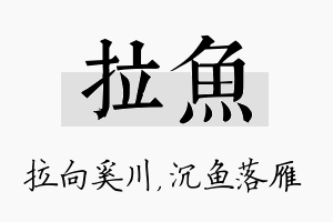 拉鱼名字的寓意及含义