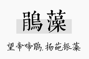 鹃藻名字的寓意及含义