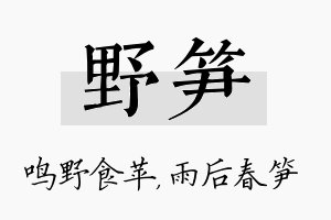 野笋名字的寓意及含义