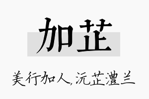 加芷名字的寓意及含义