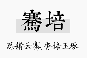 骞培名字的寓意及含义