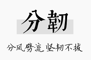 分韧名字的寓意及含义