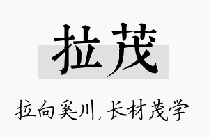 拉茂名字的寓意及含义