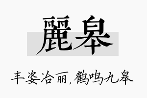 丽皋名字的寓意及含义