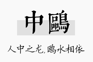 中鸥名字的寓意及含义