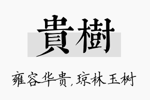 贵树名字的寓意及含义