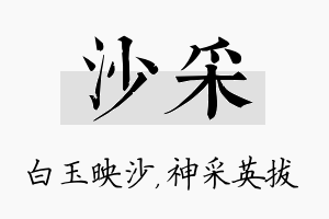 沙采名字的寓意及含义