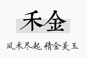 禾金名字的寓意及含义