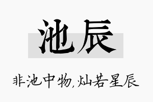 池辰名字的寓意及含义