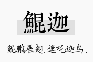 鲲迦名字的寓意及含义