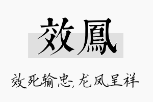 效凤名字的寓意及含义