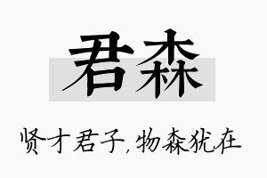 君森名字的寓意及含义