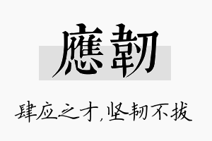 应韧名字的寓意及含义