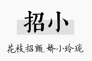 招小名字的寓意及含义