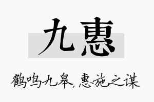 九惠名字的寓意及含义