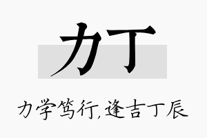 力丁名字的寓意及含义