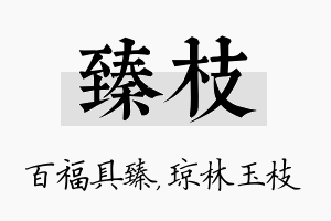 臻枝名字的寓意及含义