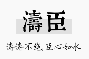 涛臣名字的寓意及含义