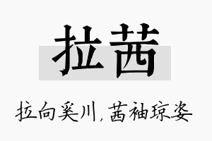 拉茜名字的寓意及含义