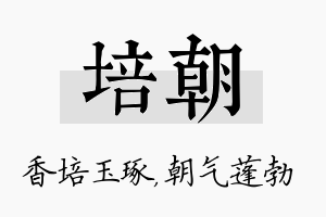 培朝名字的寓意及含义