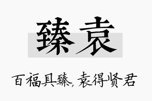 臻袁名字的寓意及含义